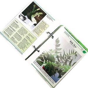 Success With House Plants🪴